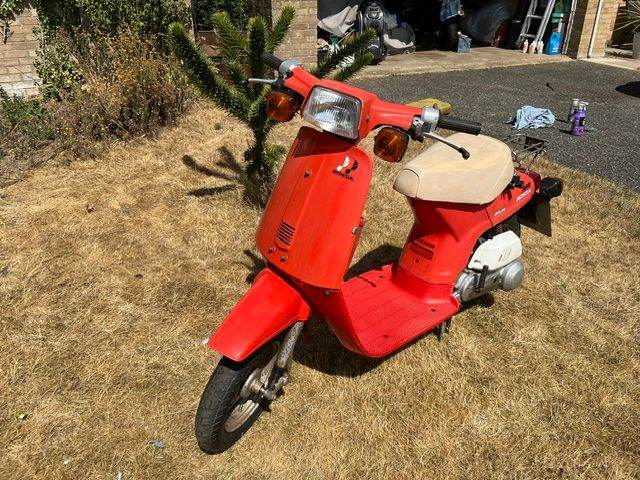 Honda, 1982, 49 (cc)