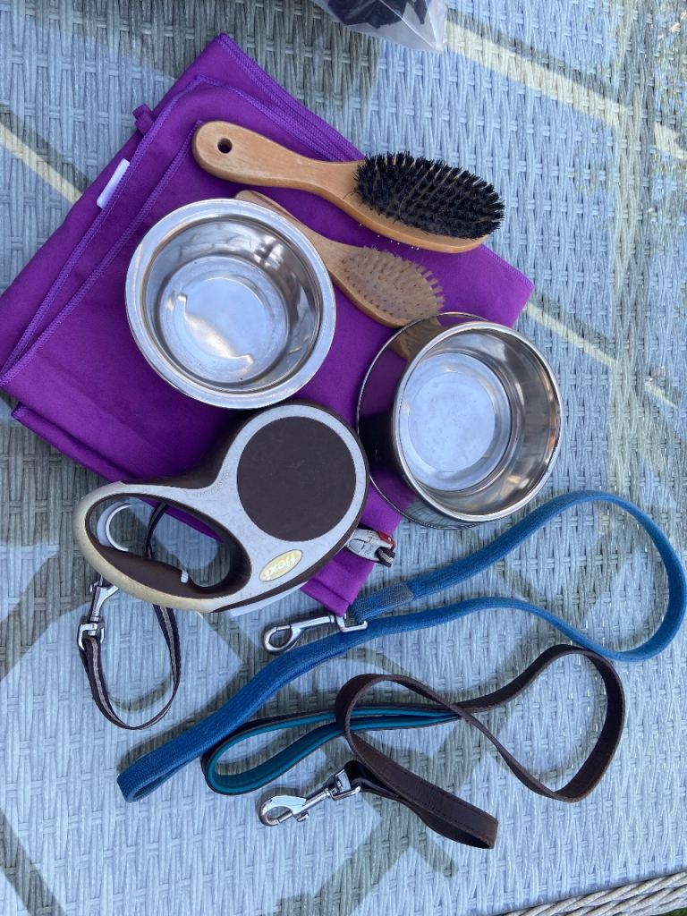 Dog accessories- leads, bowls, brushes & towel