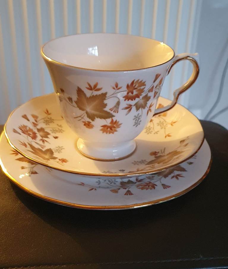 Colclough Bone China Tea Cup and Saucer Set - Autumn Leaves Pattern