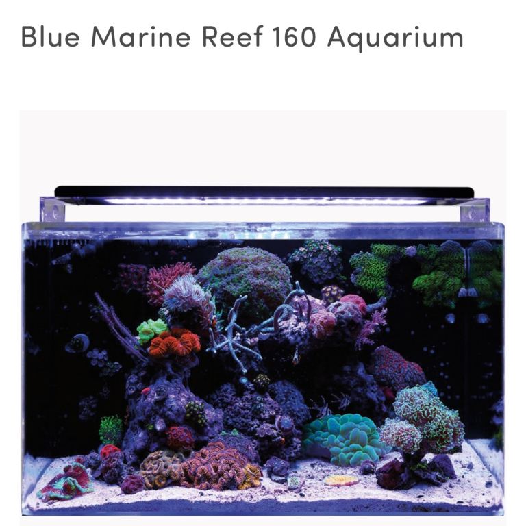 Brand new in sealed packaging 160 litre marine aquarium kit
