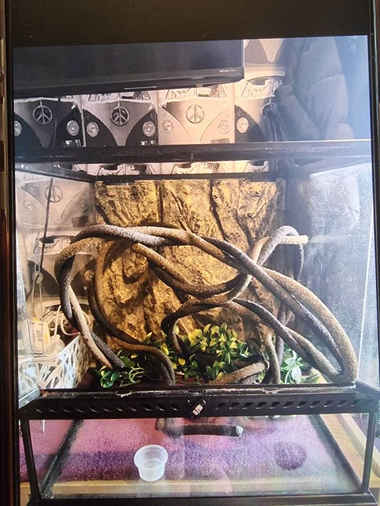 Exo Terra Terrarium Kit