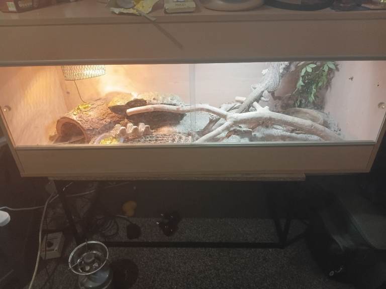 Reptile enclosure 