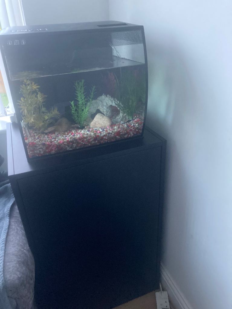 Fish tank and storage cupboard 