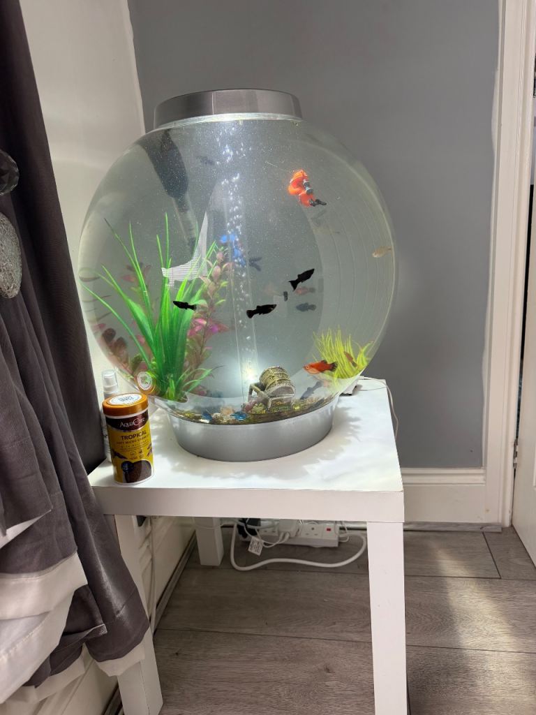 Orb complete topical fish tank 
