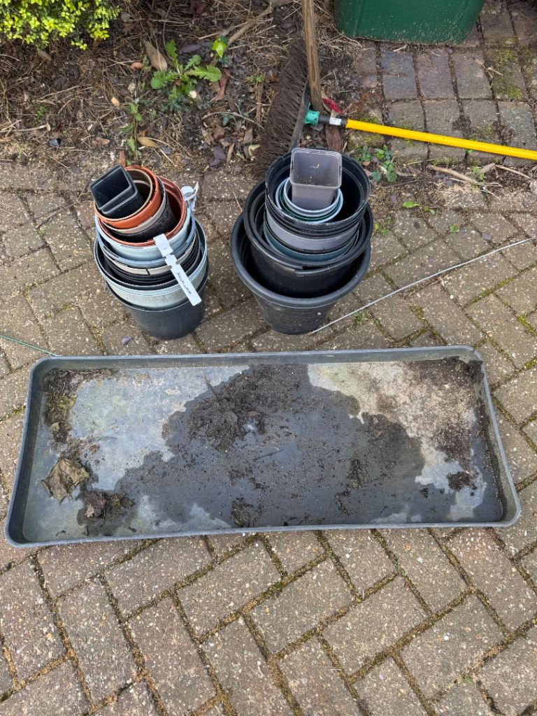 Free plant pots