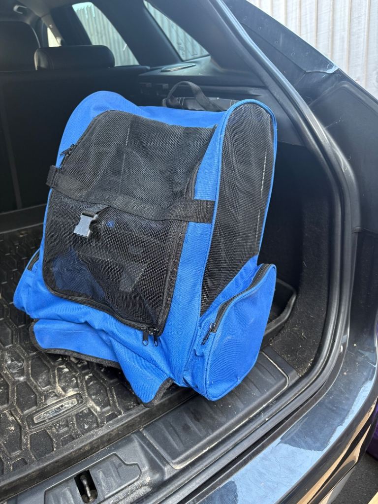 Puppy carry bag