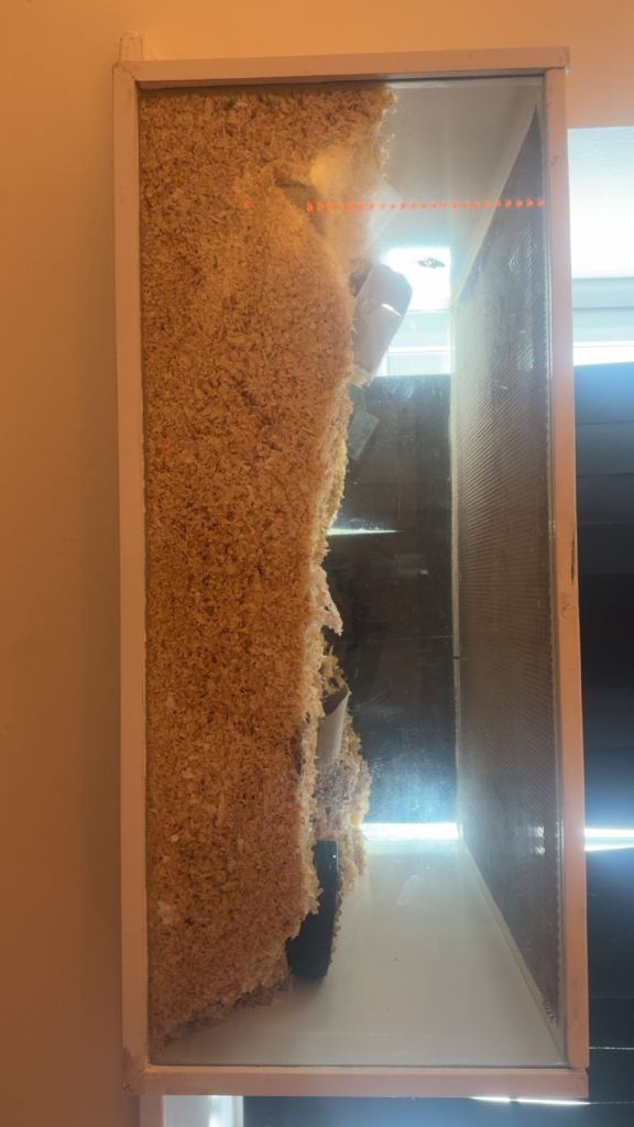 Hamster cage 