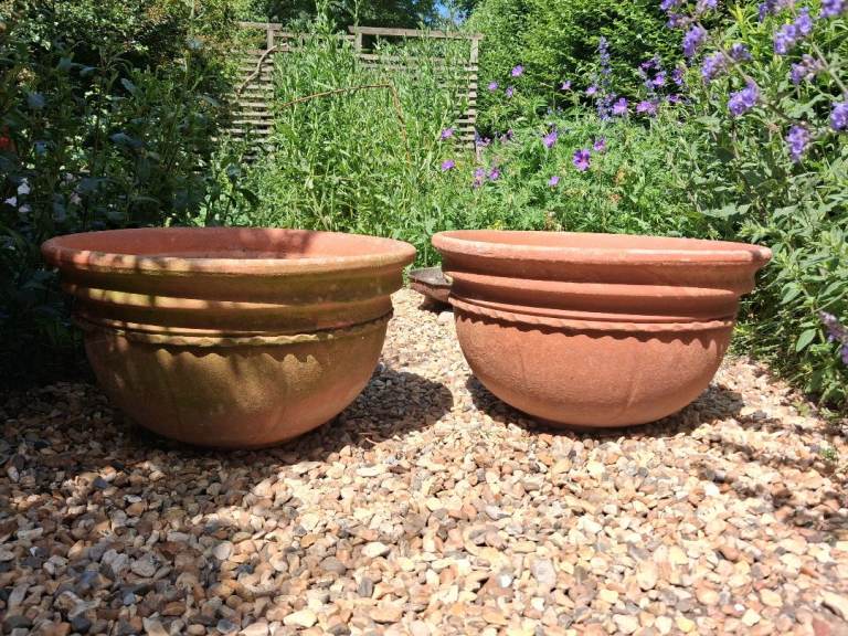 Pair of vintage terracotta garden pots