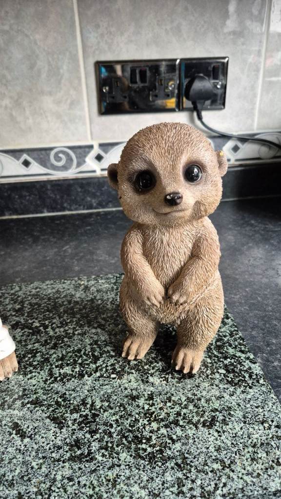 Garden meerkat