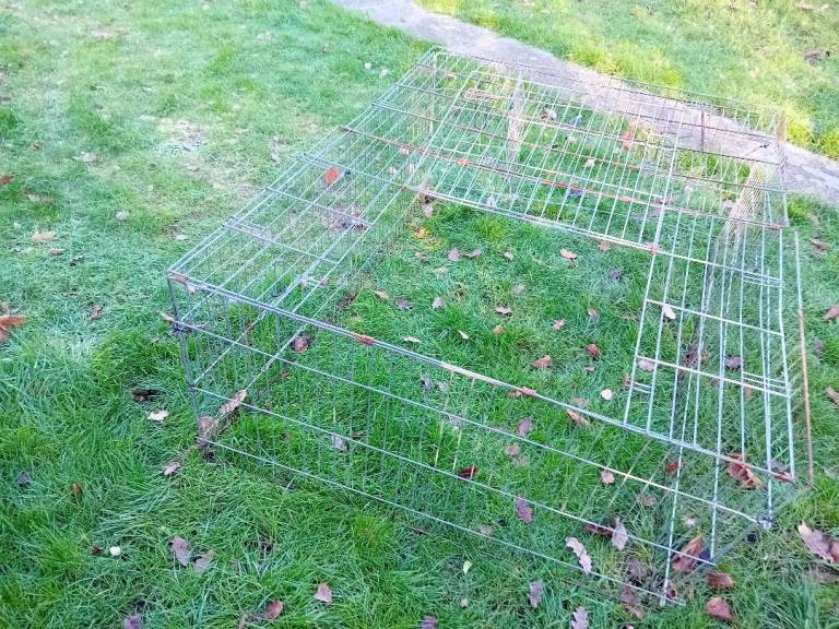 Guinea pig or rabbit outdoor run