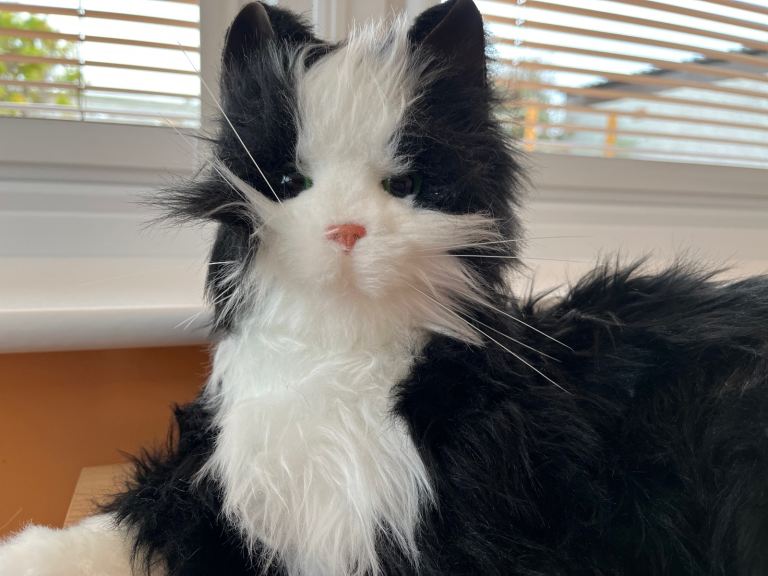 Robotic Cat Companion - Joy for All - Sensory Interactive Friend