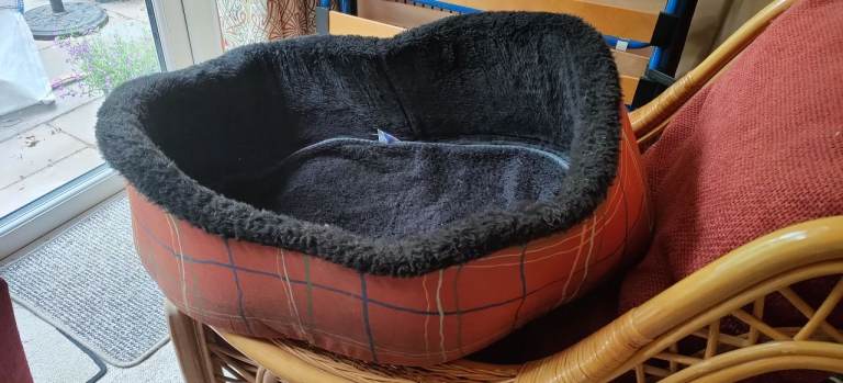 Dog bed, blankets and coat