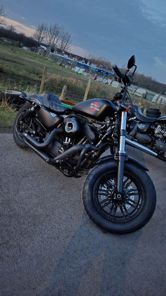 Harley-Davidson, SPORTSTER FORTY-EIGHT, 2017, 1202 (cc)