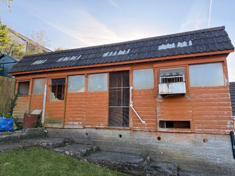Pigeon shed