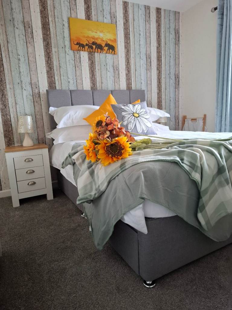 Beautiful room close to Torbay hospital 