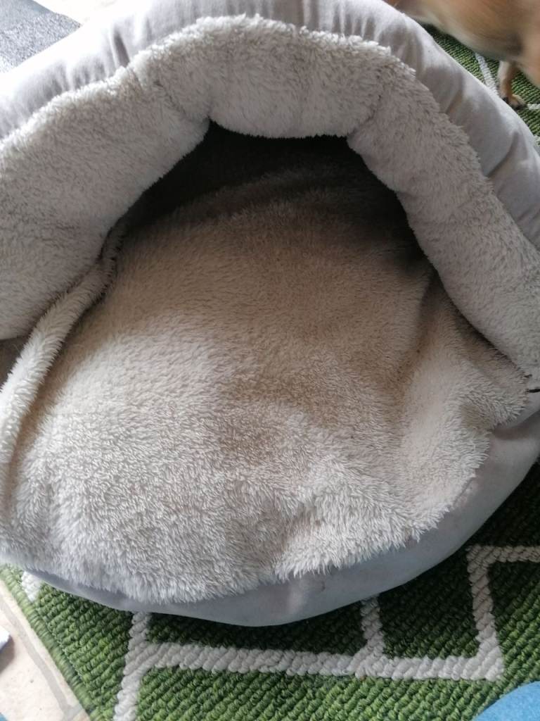 Cave hooded dog bed 
