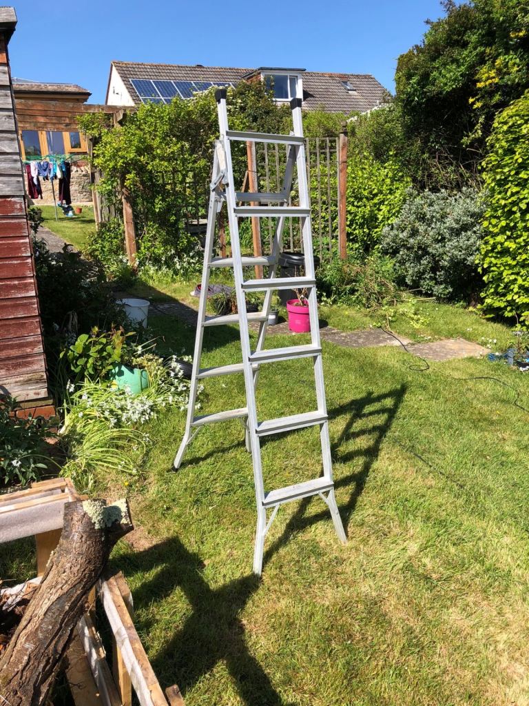 Extendable ladder