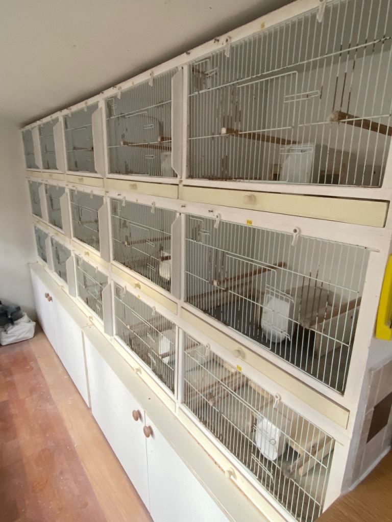 Budgerigar Breeding Cages