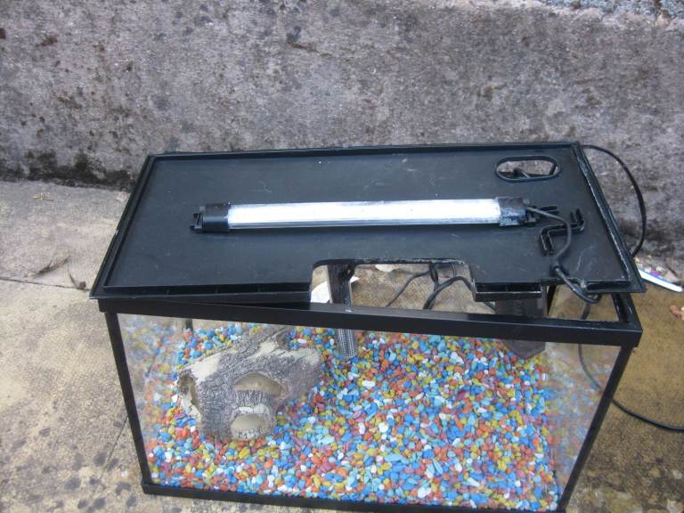 Fish tank and accessories