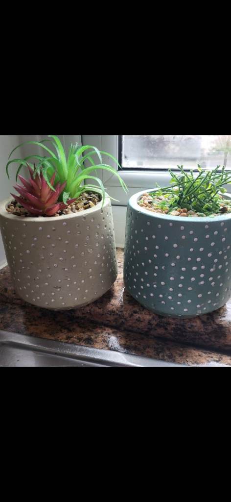 Plany pots