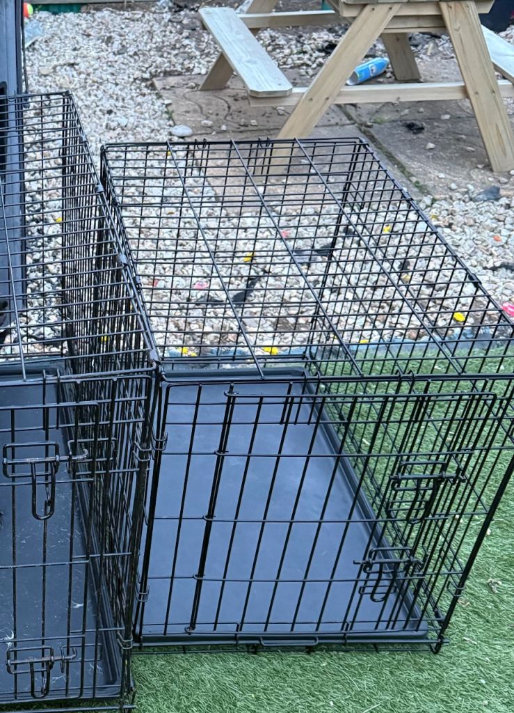 Black Metal Dog Crate with Removable Tray