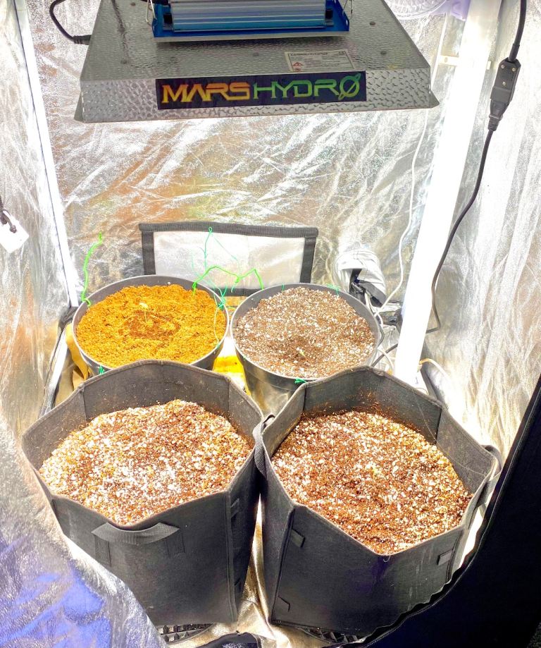 image for Mars Hydro TS1000 led grow light