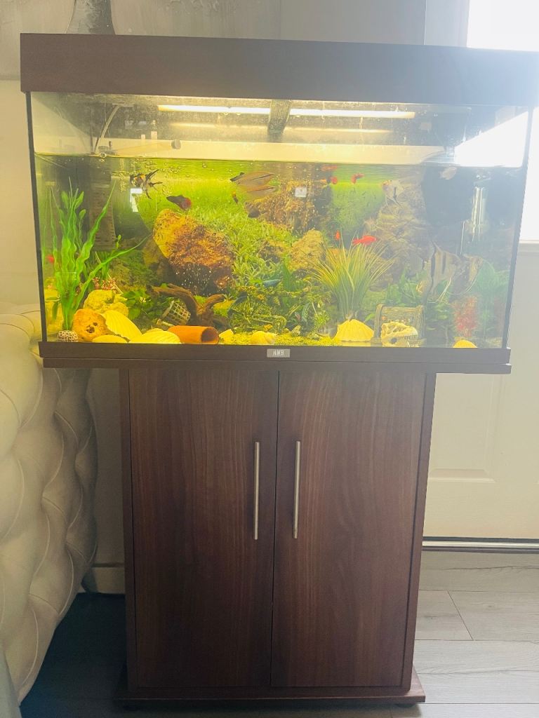 Large Fish Tank Aquarium with Cabinet Stand