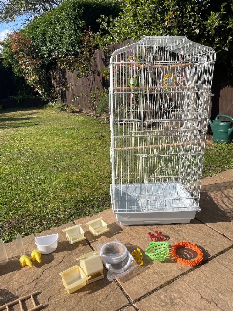 Large bird cage