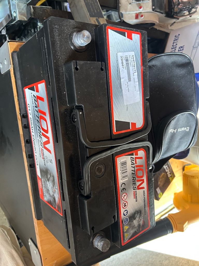 Brand new lion battery 
