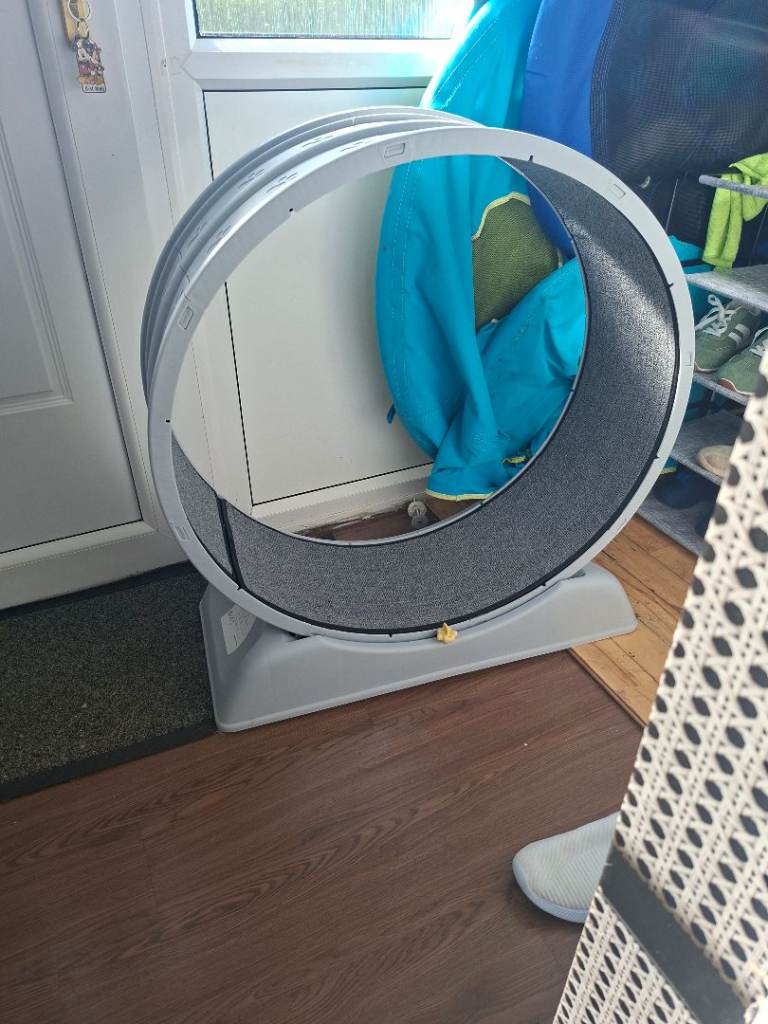  Cat Exercise Wheel