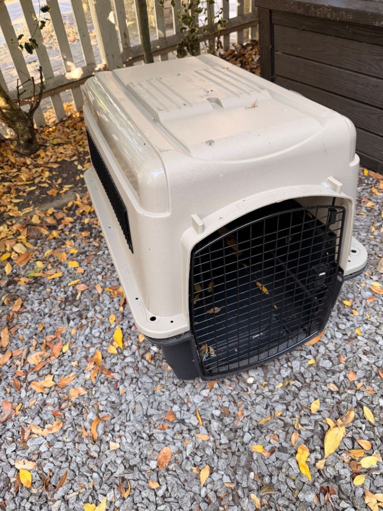 Dog crate 