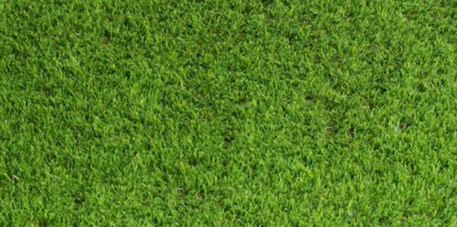 Balcombe Vale 37mm Artificial Grass Offcuts x3 