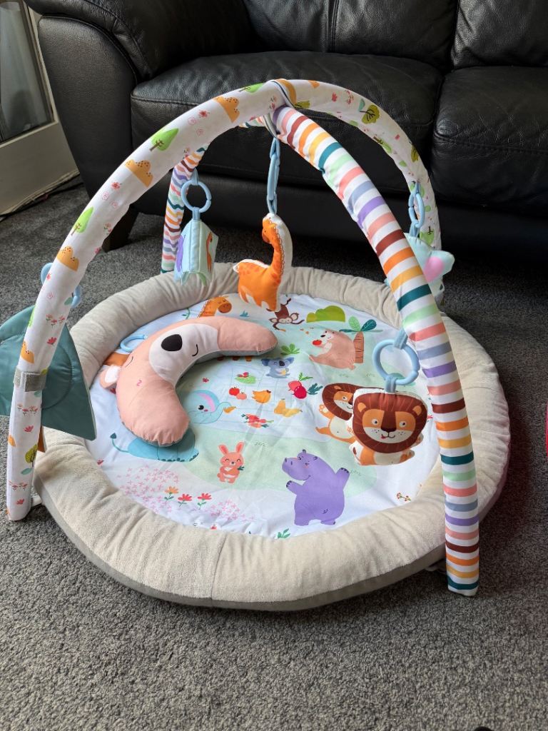 Baby Playmat 