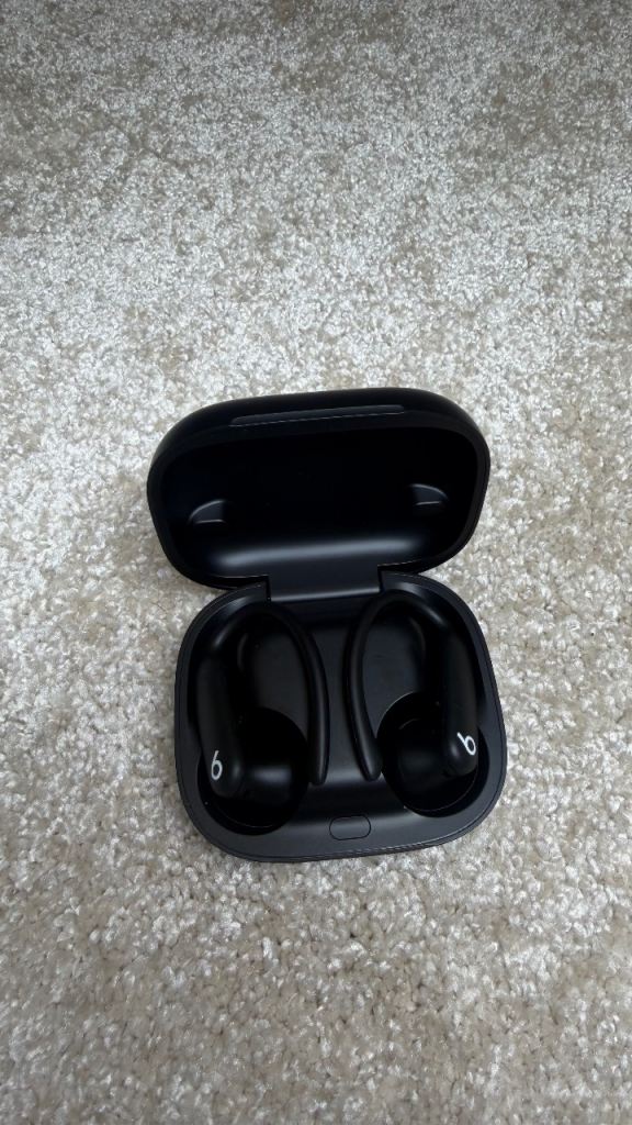 Beats Powerbeats Pro Wireless Earbuds with Charging Case - Black