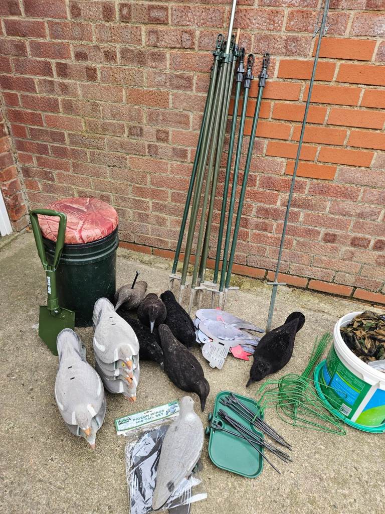 pigeon decoy equipment 