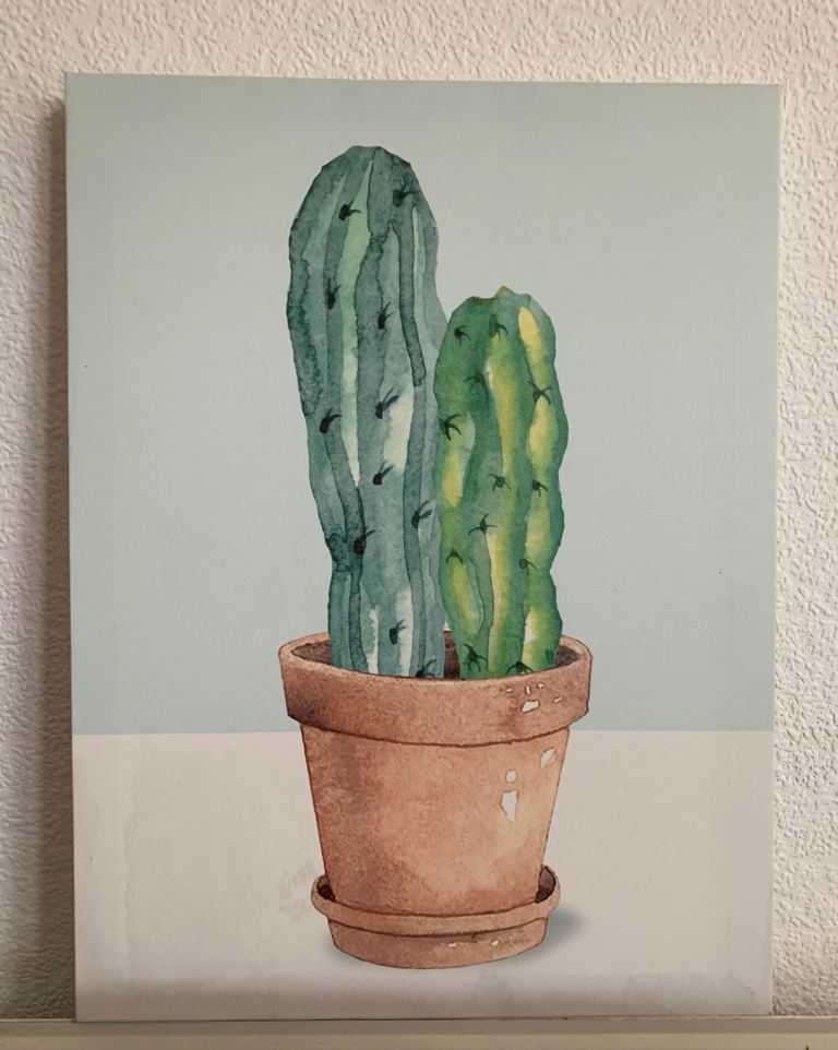 Cactus pic