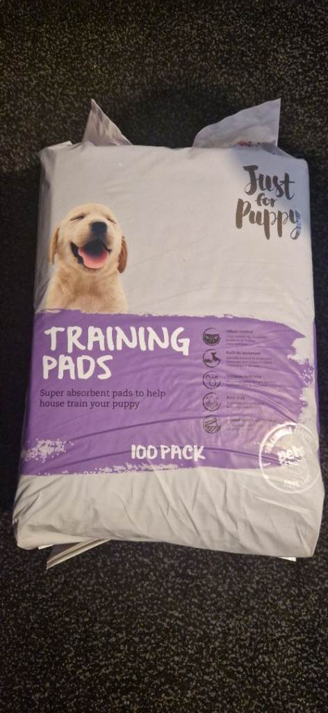 Toilet training pads, pack of 100 