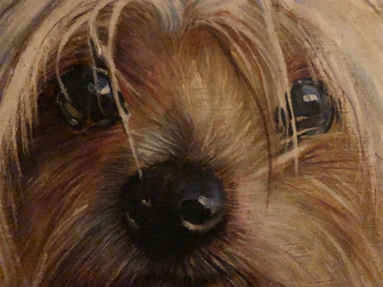 Chinese Hairless Dog-Pastel Painting by Sara Abbot. 