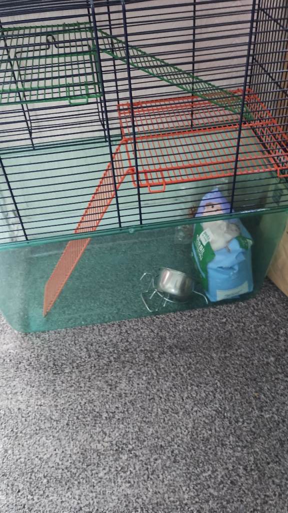 Gerbil cage and accessories 