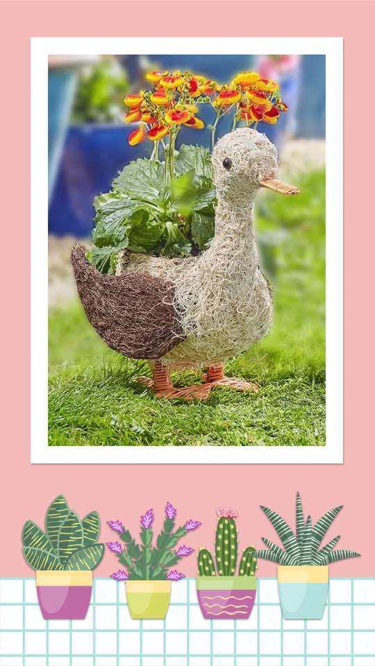 Rattan Planter - Daphne Duck