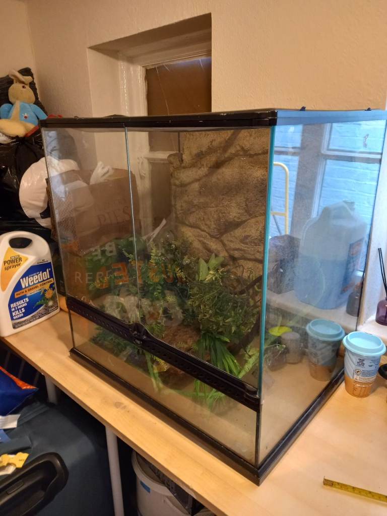 Large vivarium tank