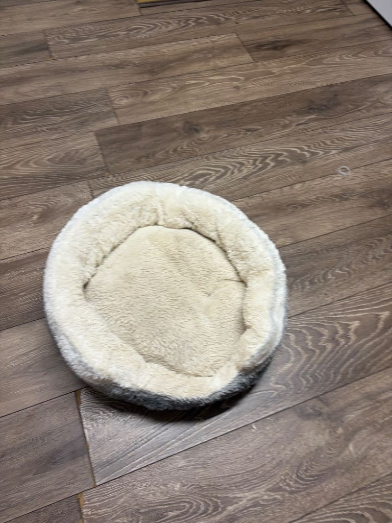 Small dog bed 