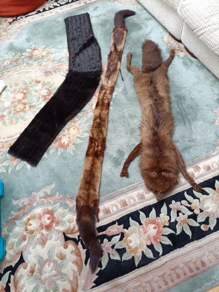 Antique furs x3