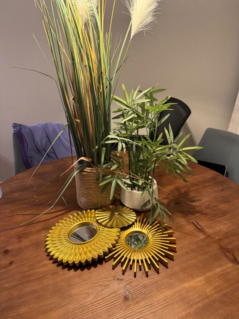 Artificial Plants & Gold Decorative Mirrors – Good Condition