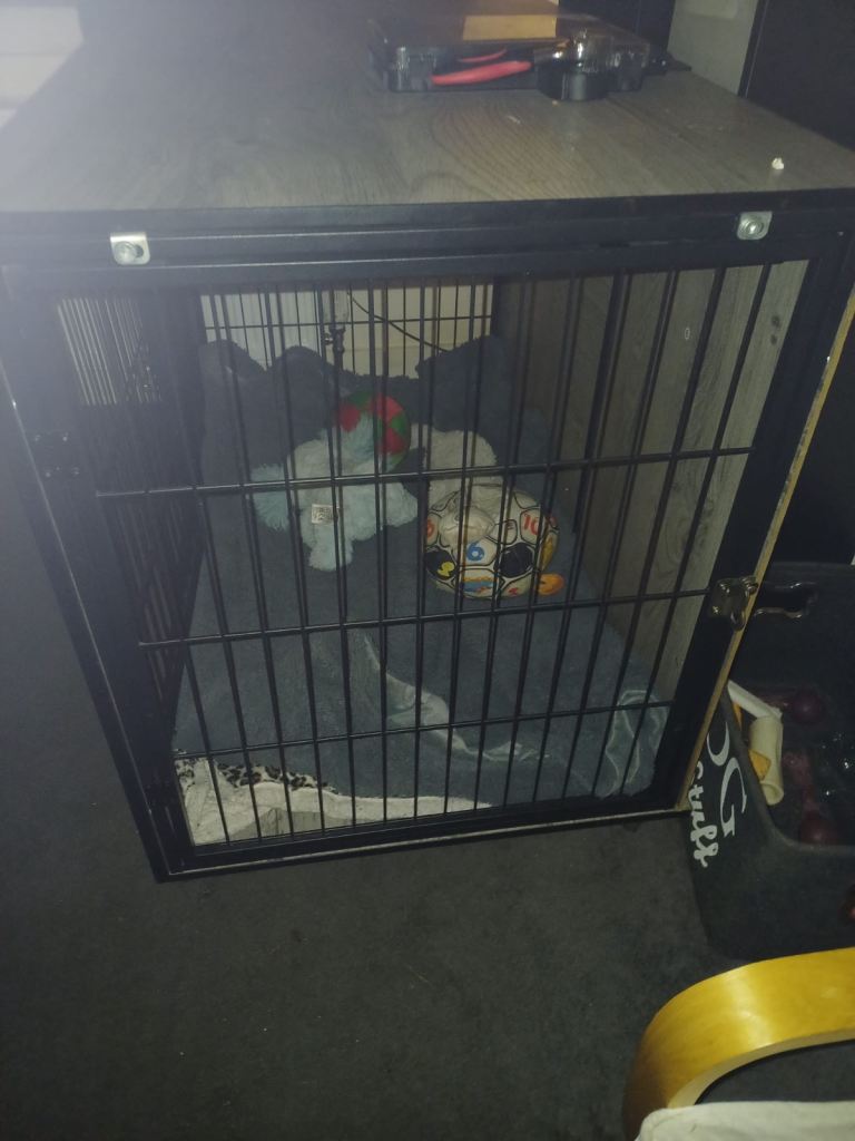 Dog crate 