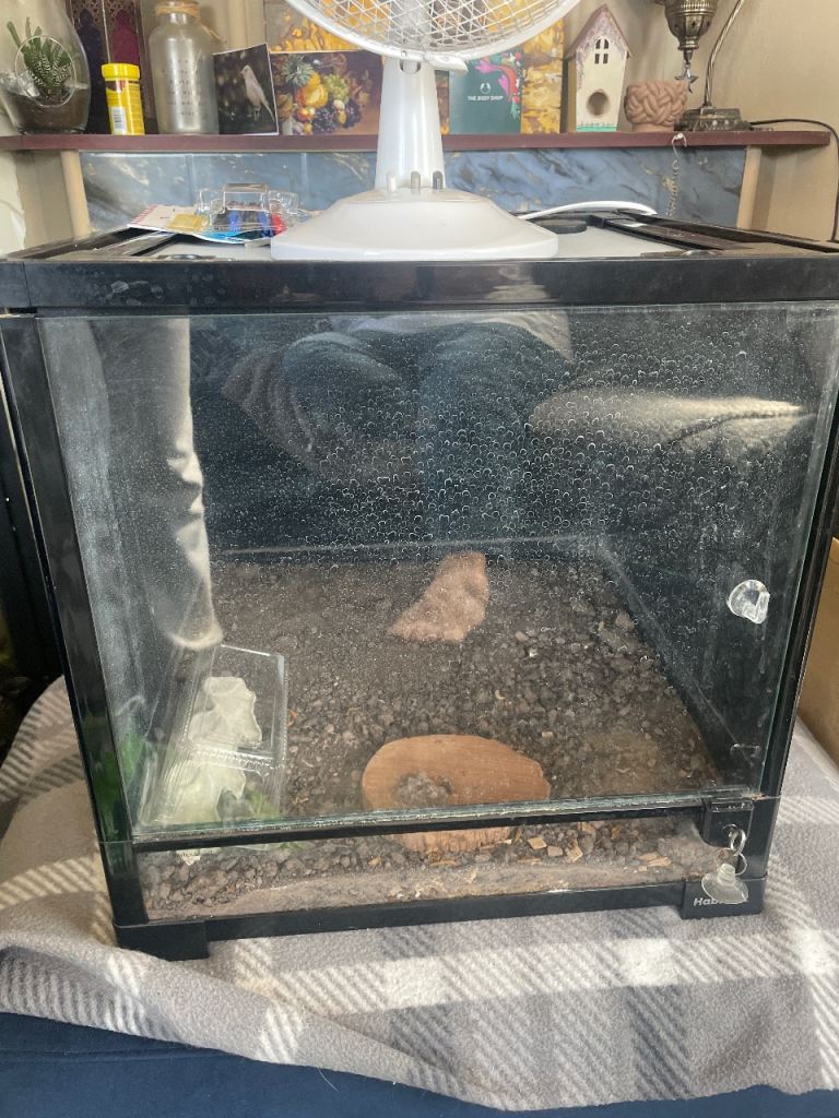 Habistat stackable tank 