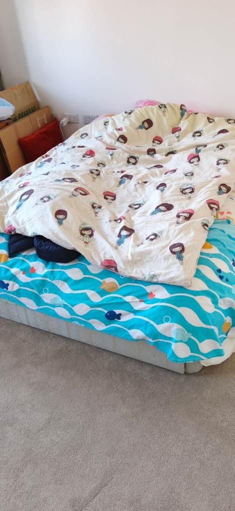 FREE double bed and bunk bed