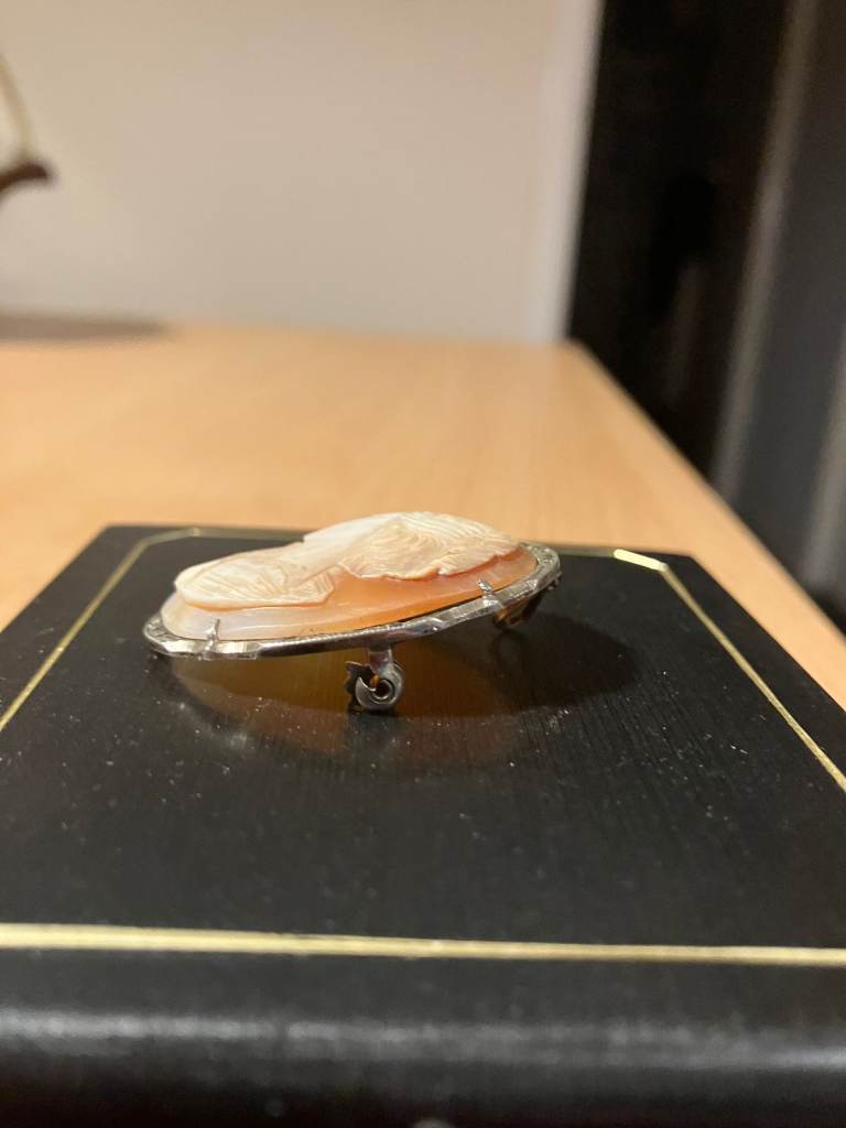 Vintage Shell Cameo Broach & Clip on Ear Rings