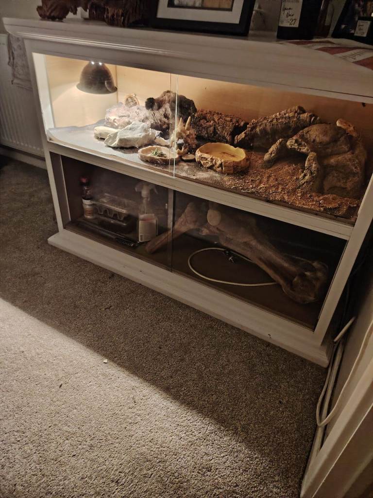 Bespoke double vivarium