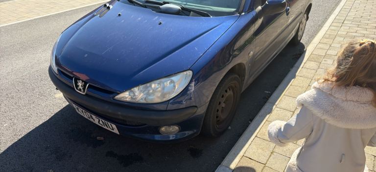 Peugeot, 206, Hatchback, 2004, Manual, 1360 (cc), 5 doors